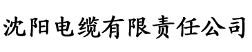 欧美色成人综合天天影院电缆厂logo